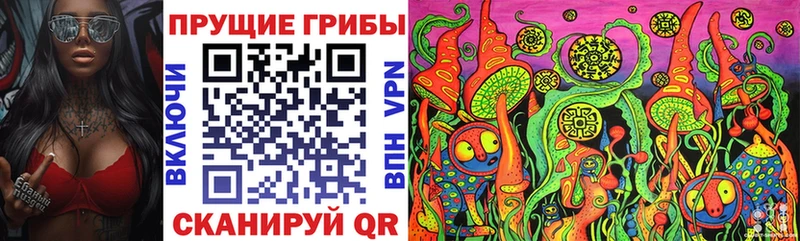 Псилоцибиновые грибы MAGIC MUSHROOMS  hydra ССЫЛКА  Курган 