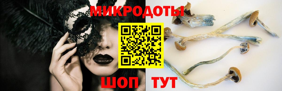 Галлюциногенные грибы ЛСД Курган