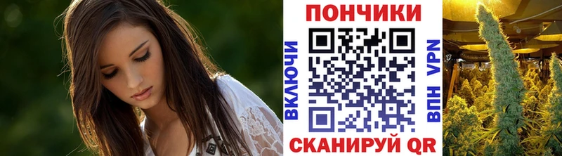 мега вход Курган Каннабис SATIVA & INDICA